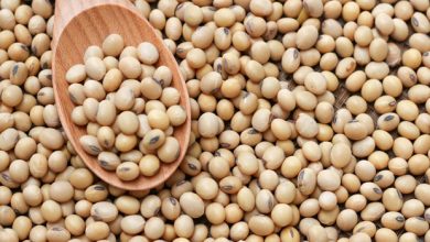 Photo of Top 7 Health Benefits of Soybean