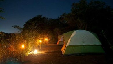 Photo of Camping Sites around Mumbai that Promise Respite from Hectic City Life